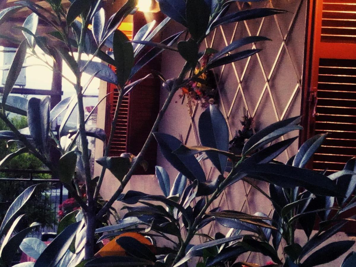 Maison Des Amis Vatopédhion Exteriör bild